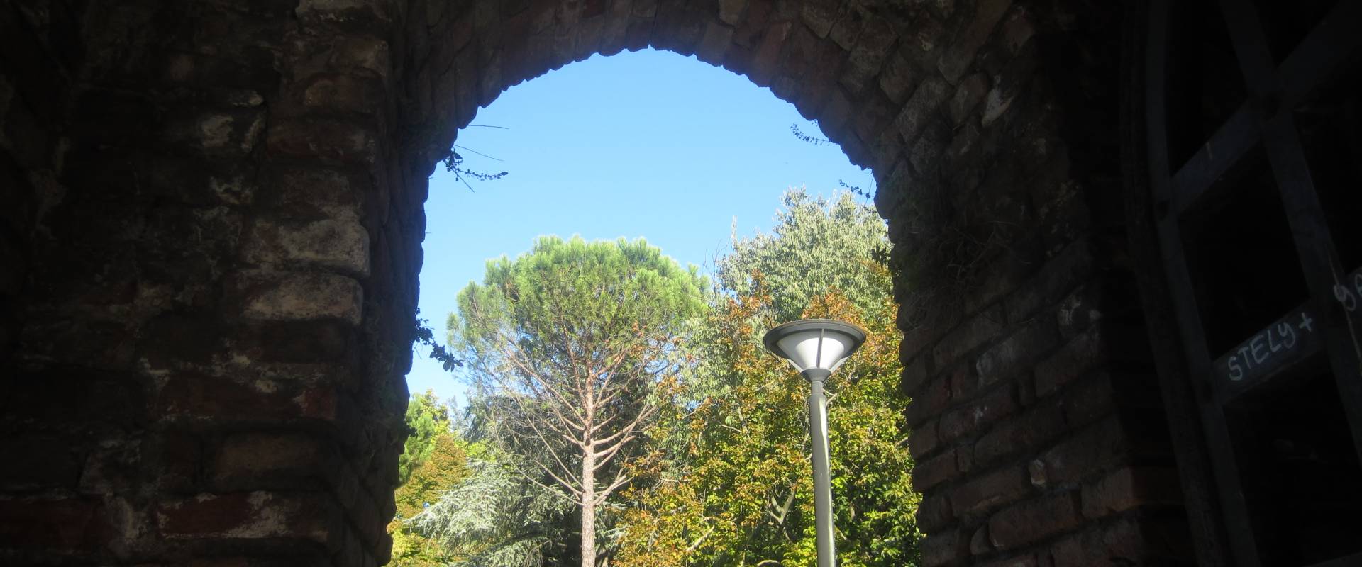 Rocca Brancaleone - entrata foto di Ebe94